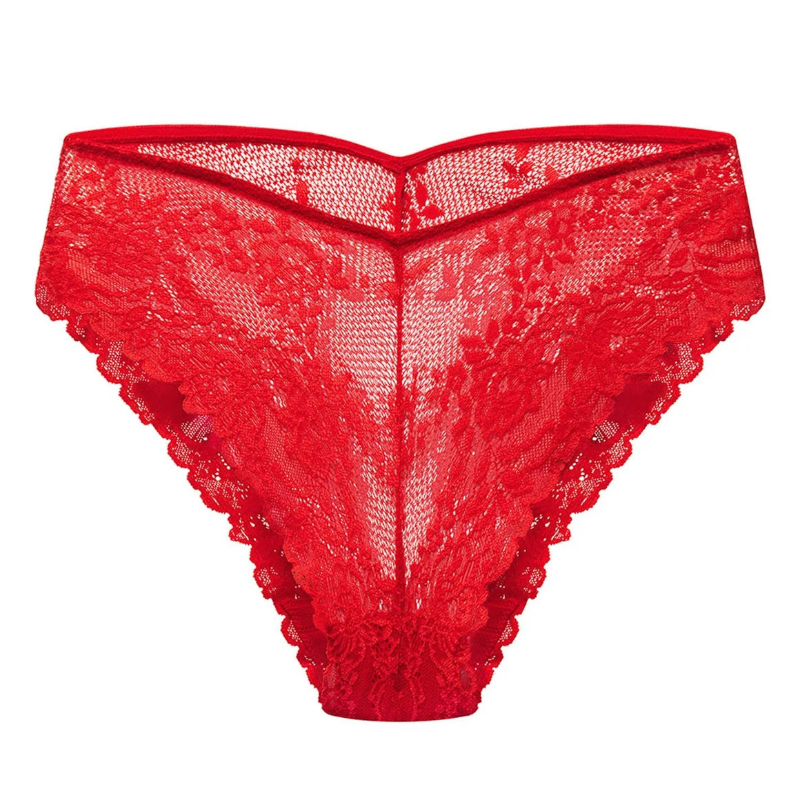 Natori Heavenly Bikini