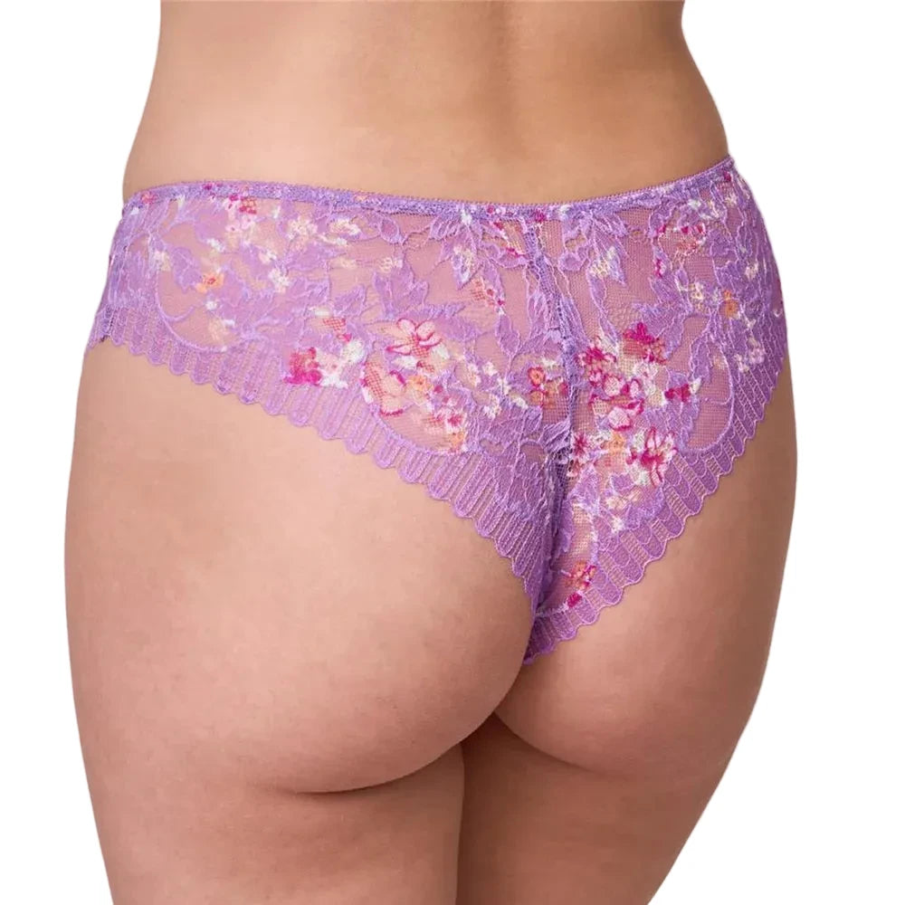 Montelle Lace Brazilian