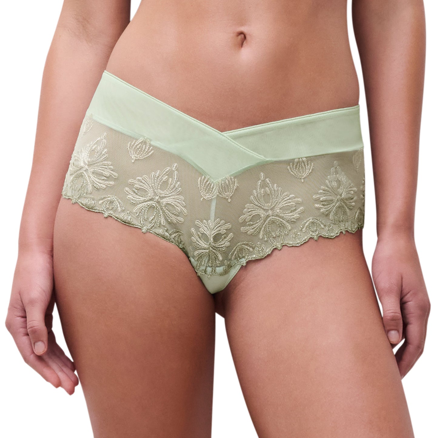 Chantelle Champs Elysees Lace Hipster