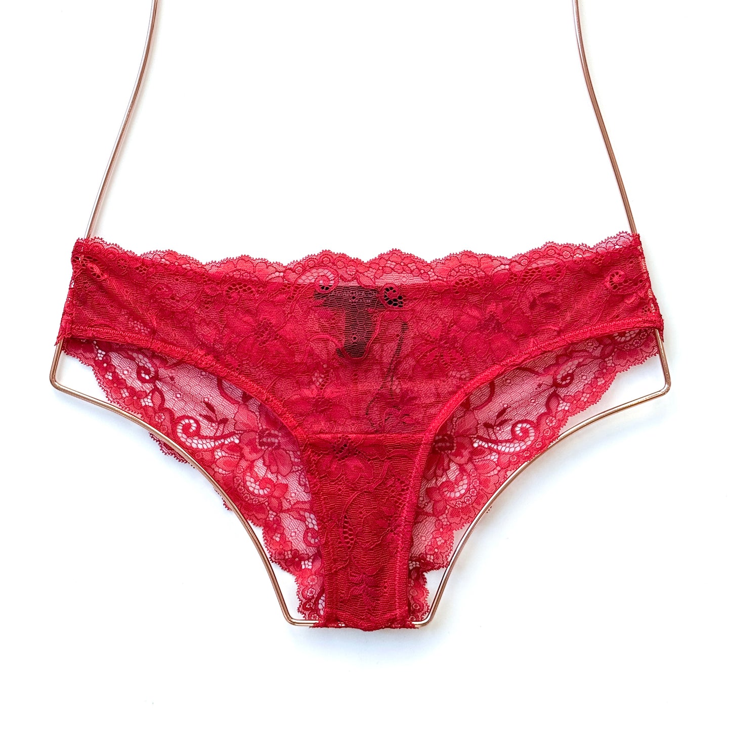 Samantha Chang All Lace Amour Brief